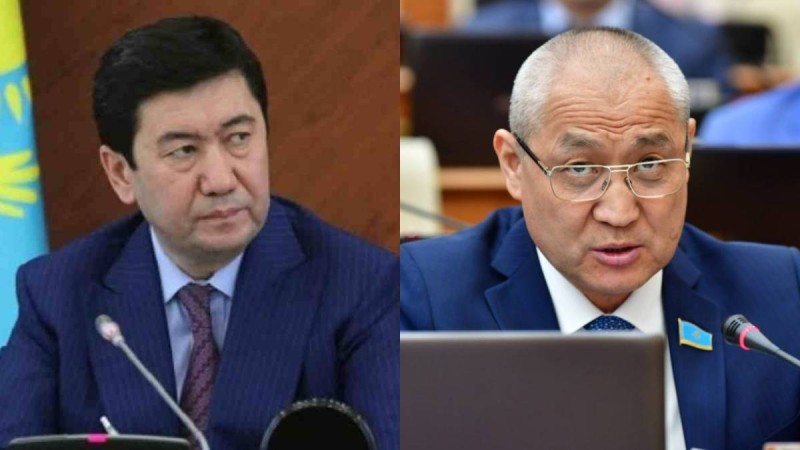 "Итке өкпелеп, Жаңбыршин де біраз жерге барды": Жануарларға қатысты заңға нүкте қойылды