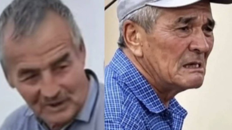 100 жылқы дауы: Мал дәрігері маңызды мәлімдеме жасады (ВИДЕО)