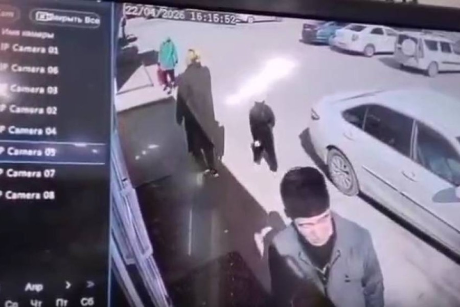 Ақтөбеде өзгенің баласын алып кетпек болған қыз ұсталды