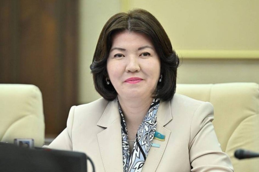 Мектеп оқулықтары жаңартылады: Министр баспаларға нақты тапсырма берді