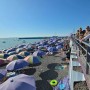 Туризм министрі Тоқаевтың ескертуінен кейін Алакөлді тексерді