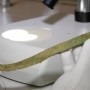 Көшпелі сақтардың қола пышақтары табылды