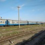 Пойызда босанып баласын жолда лақтырып жіберген әйелге үкім шықты