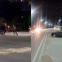 Қостанайда мас жүргізушіні қуған полицейлер нағыз триллер түсіргендей болды