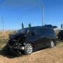 Қараусыз малдан жол-көлік оқиғалары артуда