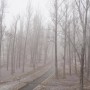 Найзағай және қатты жел күтіледі: 9 қыркүйекке арналған ауа райы болжамы