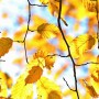 9 қазанға арналған ауа райы болжамы