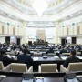 Сенат жасанды интеллект туралы заң жобасын Мәжіліске қайтарды
