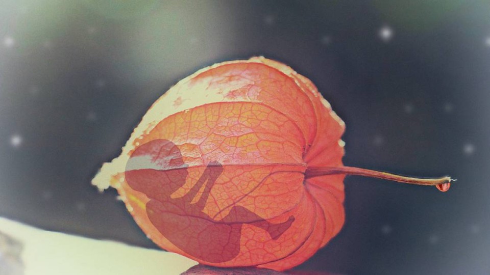 «16 жастан аборт жасауға рұқсат беру ақылға сыймайды».