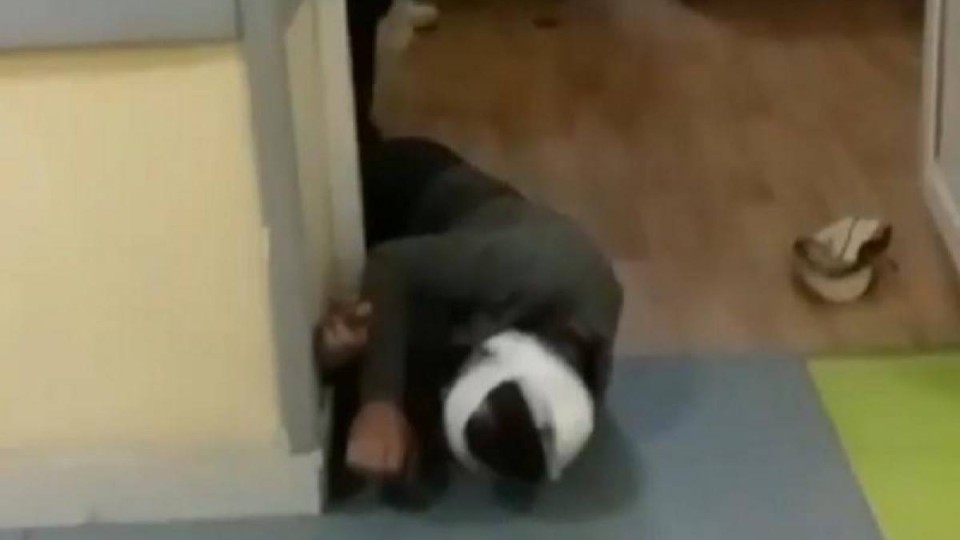 Науқасты аяусыз тепкінің астына алған дәрігердің ісі бойынша сотқа дейінгі тергеу амалдары жүргізілуде.