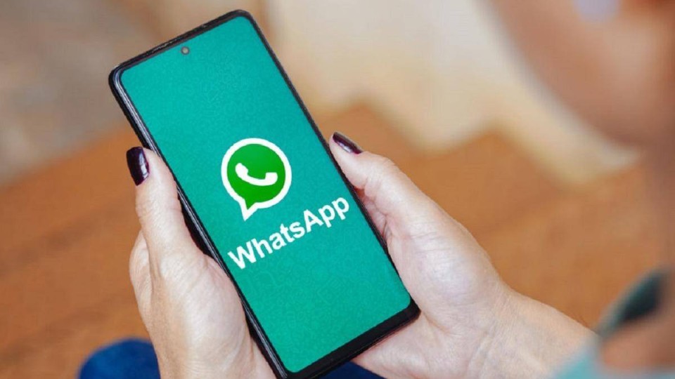 Қазақстанда WhatsApp пен Telegram-ға тыйым салынатыны рас па: министрлік түсінік берді