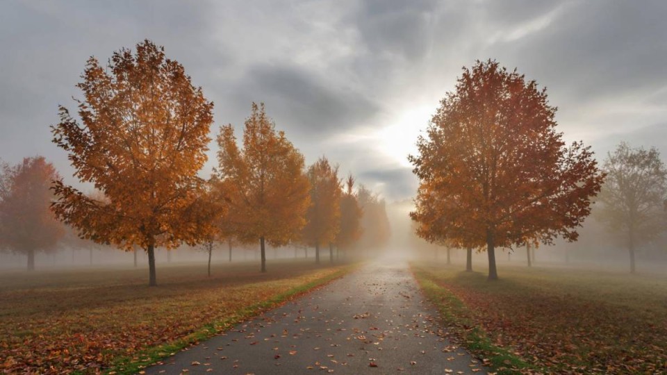 16 қазанға арналған ауа райы болжамы