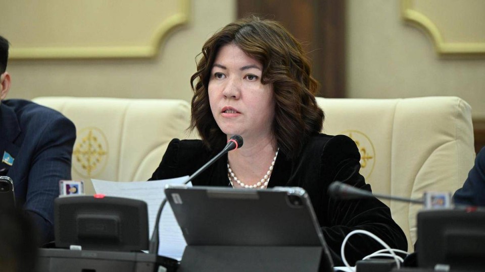 Сүлейменоваға бағытталған сын садағы: Министр шұғыл мәлімдеме жасады