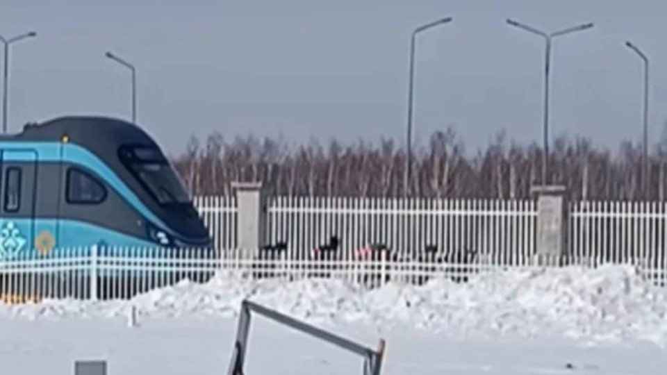 Астанада LRT вагондарын қолмен сүйреп бара жатқан жұмысшылар видеоға түсіп қалды