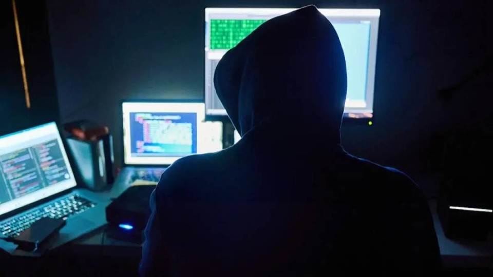 «Қыздар.нет» ісі: Петропавлда ұйымдасқан топ мүшелеріне сот үкімі шықты