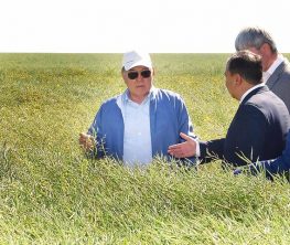 Нұрсұлтан Назарбаев: Егін ору жұмыстарын жеделдету керек