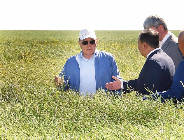 Нұрсұлтан Назарбаев: Егін ору жұмыстарын жеделдету керек