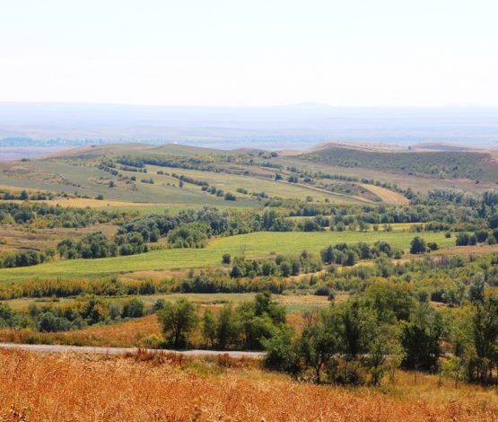 ШҚО әкімшілігі Қытайға жер беру мәселесіне қатысты мәлімдеме жасады