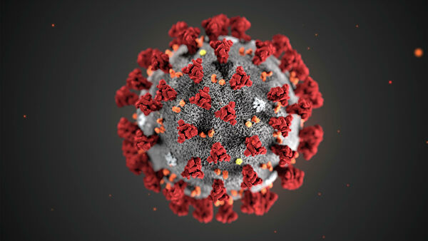 Ақмола облысында бірден 19 адамнан коронавирус анықталды