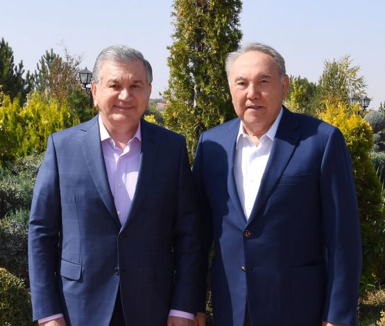 Назарбаев Өзбекстан президентімен кездесті