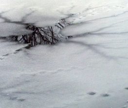 Қызылорда да мұз астына құлаған екі бала көз жұмды