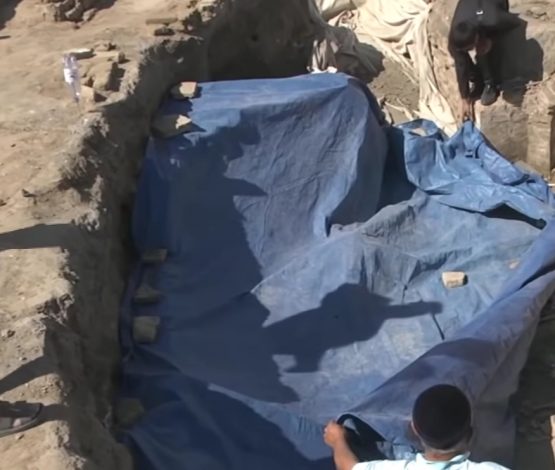 Қасым ханның қабірін іздеген археологтар басқа мәйіттерді көшірген