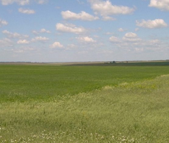 Тоқаев әкімдердің жайылымдық жерді иемденіп алған байлардың алдында қауқарсыз екенін айтты