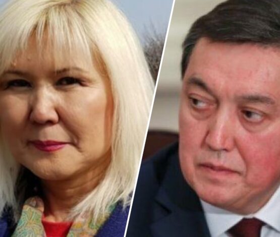 Тоқаевтың шамасы жетпейтін Маминді белсенді сотқа берді