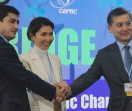 Назарбаева: Бұл өңірдің тұрақты дамуы үшін өмірлік маңызды мәселе