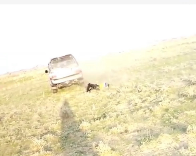 Алматы облысында фермер малшыны машинамен қағып, аяусыз ұрған