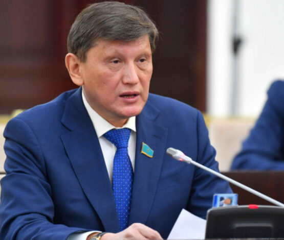 Кез келген проблеманы нарықтың өзі шешуі тиіс – сенатор Нұртөре Жүсіп