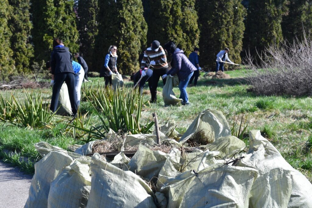 Алматыда жалпықалалық сенбілік өтеді