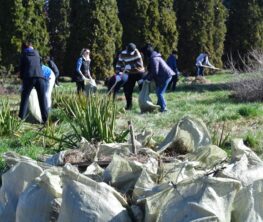 Алматыда жалпықалалық сенбілік өтеді