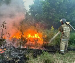 Абай облысының аумағындағы орман өрттерінің жағдайы тұрақтануда