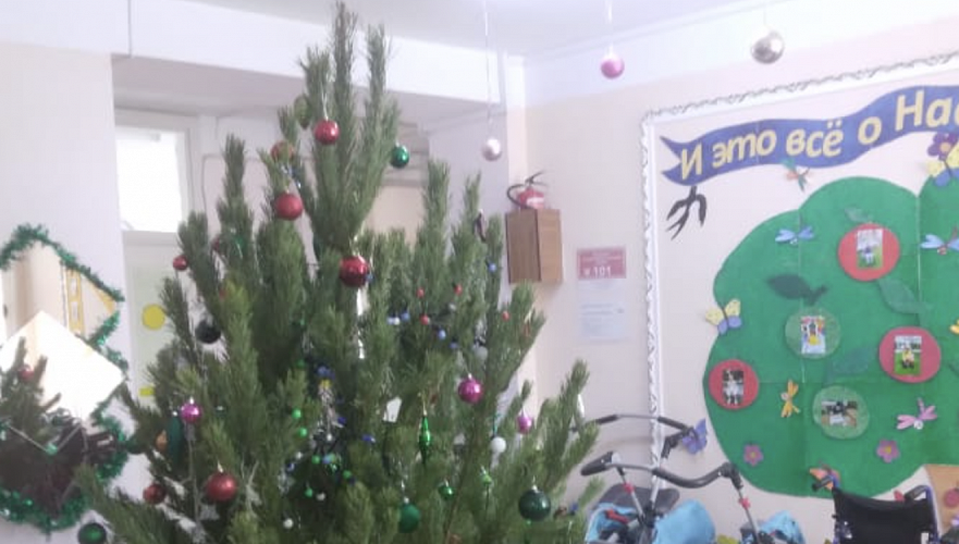 Спонсор обвиняет детский дом в Костанае в пропаже подаренных елок