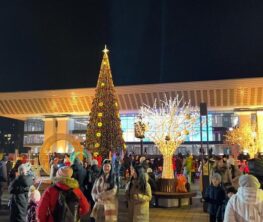 Алматы: новогодние выходные принесли рекордные звонки в полицию и скорую