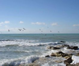 Маңғыстауда құны 1,1 млрд теңге болатын Каспий теңізі жағалауындағы жерлер мемлекетке қайтарылды