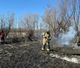 Пятый день борются с огнем в камышах на берегу Каспия