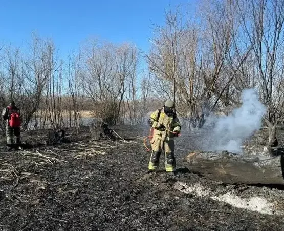 Пятый день борются с огнем в камышах на берегу Каспия