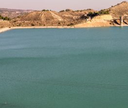 Новая жизнь юга Казахстана: водохранилище преображает земли