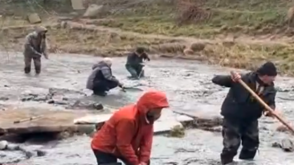 Невиданный улов: жители ловят рыбу руками после прорыва дамбы возле Алматы