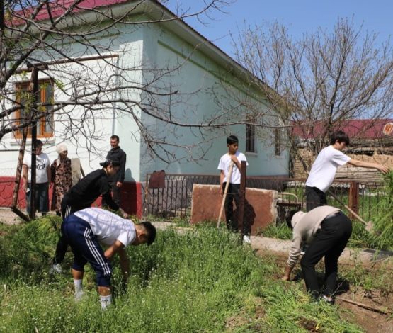 Арыс қаласында экоакция аясында үй аулаларын тазарту жұмыстары жүрді