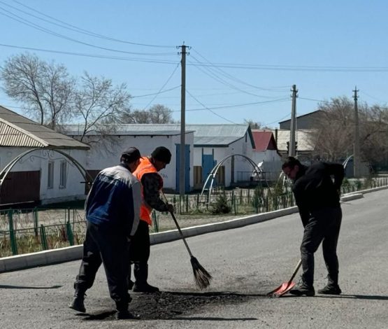 «Қасиетті тазалық»: Мұхтар Әуезовтің туған жерінде сенбілік өтті