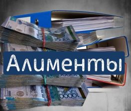 Сот орындаушы баланың алименттерін жымқырған