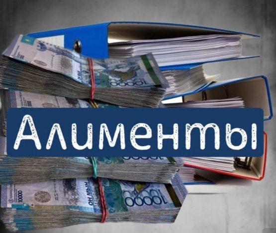 Сот орындаушы баланың алименттерін жымқырған