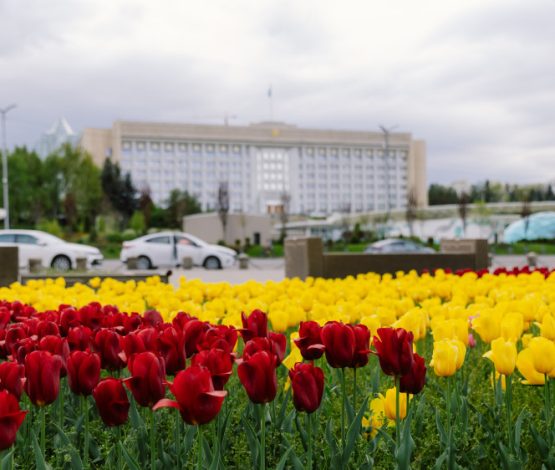 Алматы готовится к масштабной сейсмотренировке 21 мая