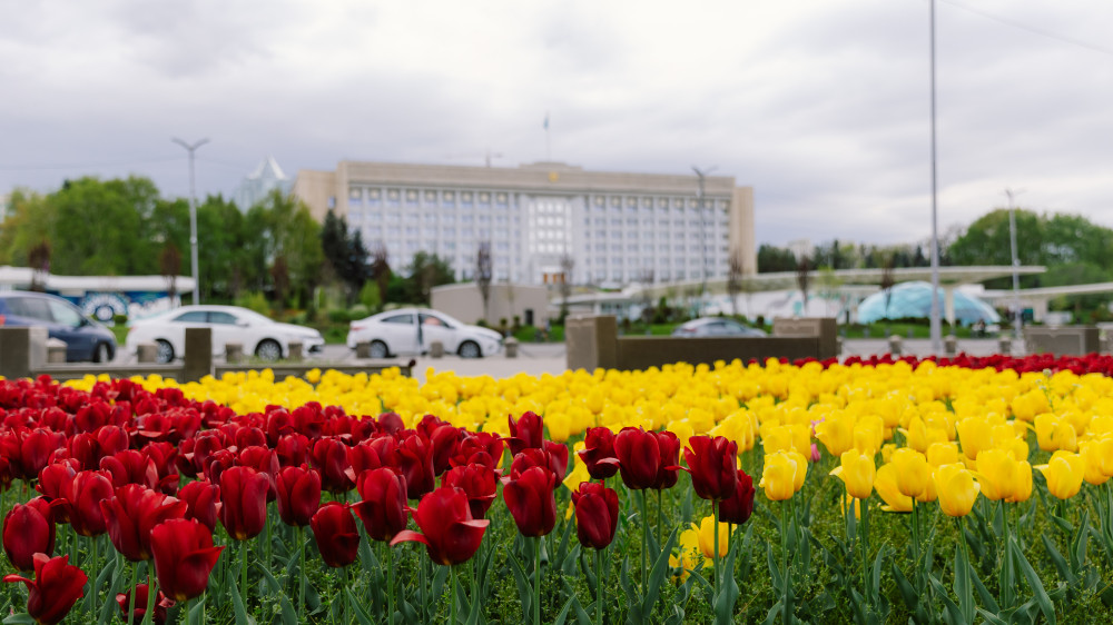Алматы готовится к масштабной сейсмотренировке 21 мая