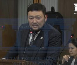 Адвокат предложил обвинить Нурсултана Назарбаева в ходе судебных прений