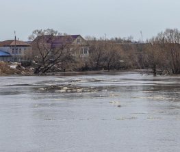 BI Group выкупает квартиры для пострадавших от паводков в ЗКО