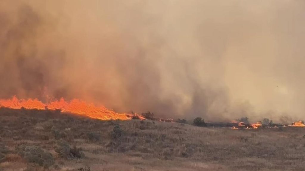 Крупный лесной пожар в Жамбылской области, вид из воздуха, пламя охватывает большие территории.